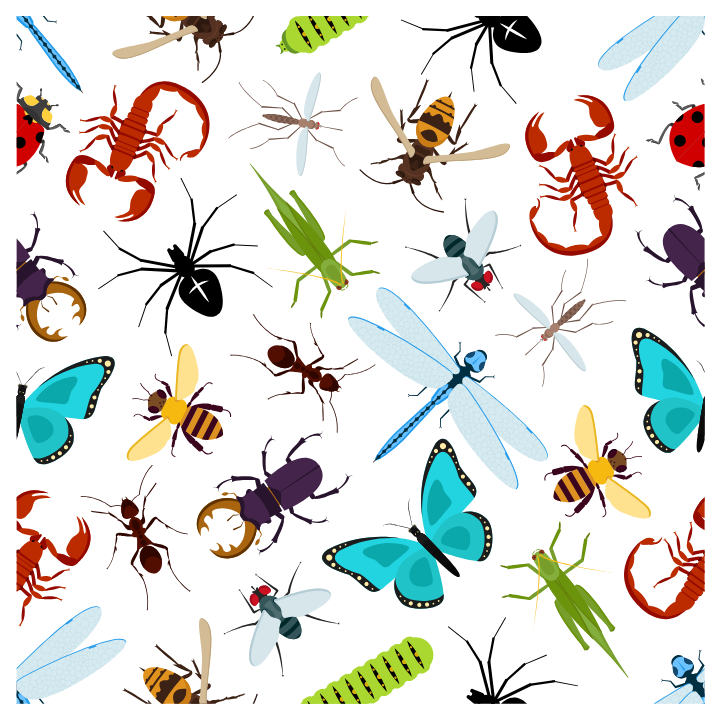 Captivating Creepy Crawlies