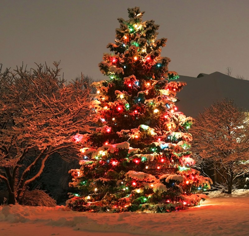 Tree-Lighting Pre-Glow